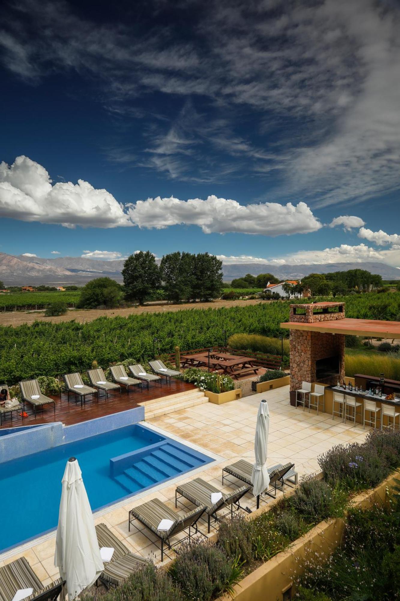 Hotel Grace Cafayate Esterno foto A vineyard in the Uco Valley